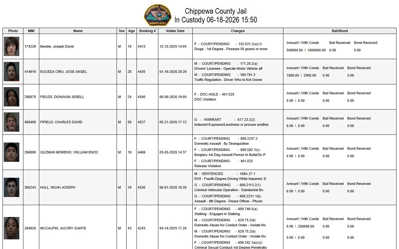 Chippewa County jail mugshots on LETG in-custody roster